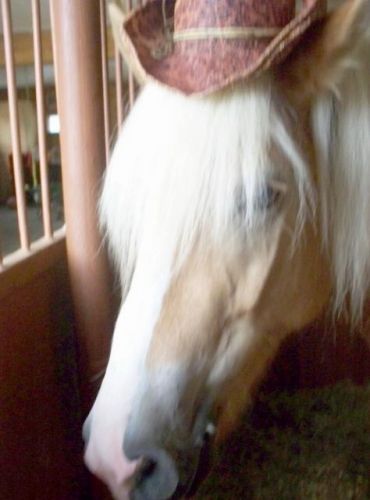 Sunshine qui porte mon chapeau