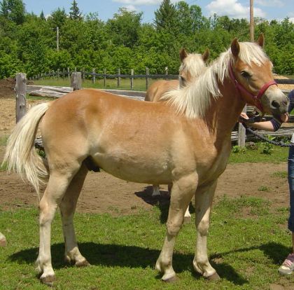 Mon p'tit Nelligan qui riait !!