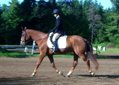 Moi et Jolly au concours EGC le 8 août 2009 au réchauffement...