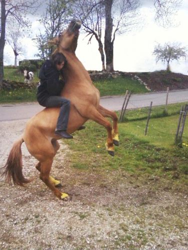 Moi et ma petite Saana en cabradeet en libert&eacute;e