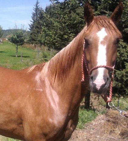Saana Prend la pose pendant le boulot ^^