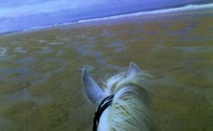 Randonnée à la plage l'année dernière, INOUBLIABLE! Avec mon...