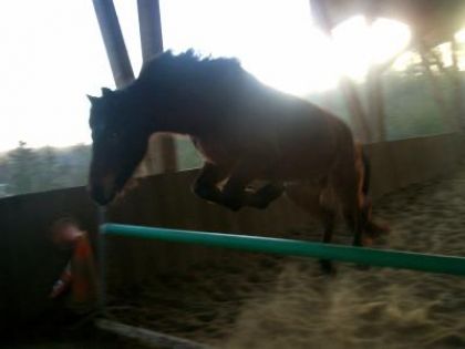 Mephisto a saut