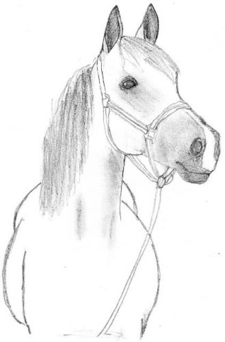 Dessin fait par moi 