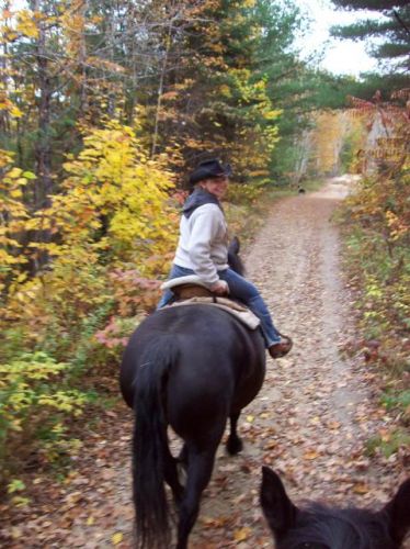 Quoi de plus beau et agréable qu'une randonnée l'automne 