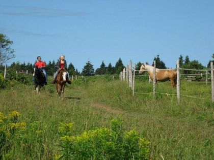 En revenant d'une rando..Moi comme guide avec mon cheval et des...