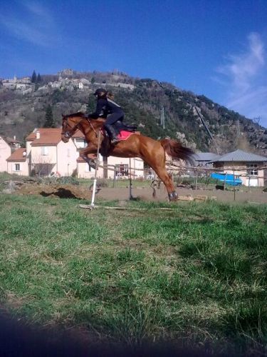 pixx de moi et arca