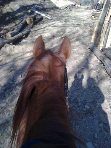 en balade ^^