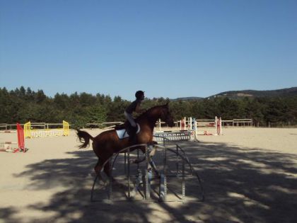 Saut de croisillon avec Freeman