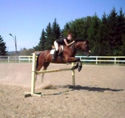 photo par etincelle alamo et moi, surement a 3pied9