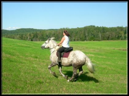 Moi et Silver aujourd'hui au Baluchon de St-Paulin. :)