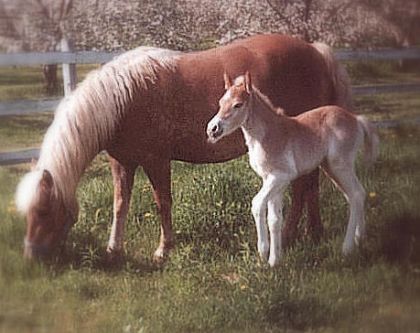 Soleil bébé avec sa maman Sybille !!