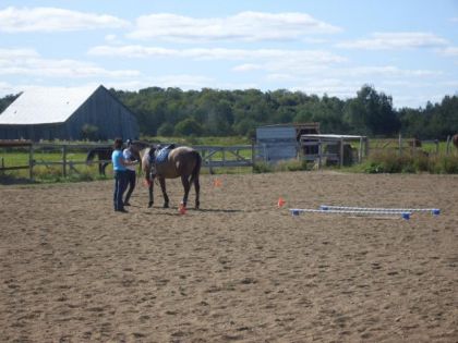 moi et pine avant les barres blanches au trec et ma mère(elle...