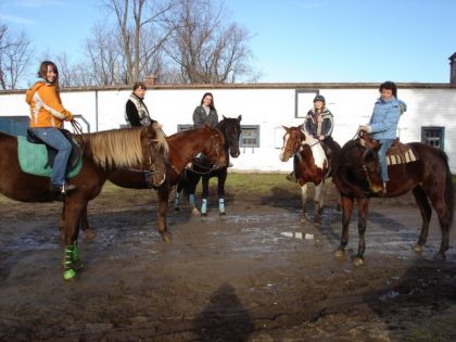 Cinq cavalières à cheval