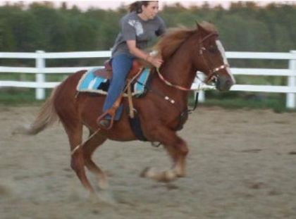 Moi sur Tex ! devinez il a quel age :)