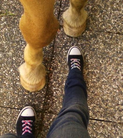 El Texas et moi ^^ enfin nos pieds MDR