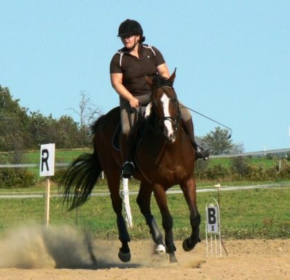 Première pratique pour le concours itinérant en dressage. On...