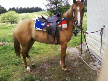 Saana avant entrainement barrel