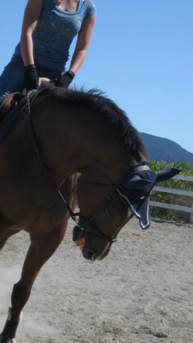 Moi & Toune sur le plat. Monte libre.