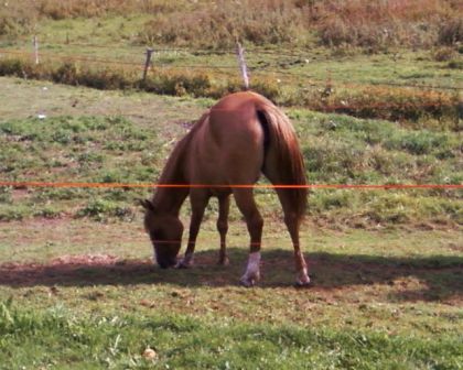 comme je l'avais promis voila son pti cul ^^