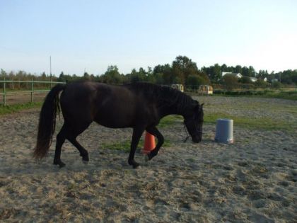 photo par Kelxrider