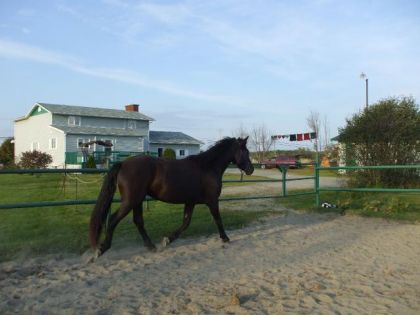 photo par Kelxrider