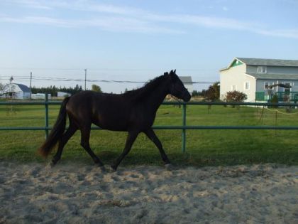 photo par Kelxrider