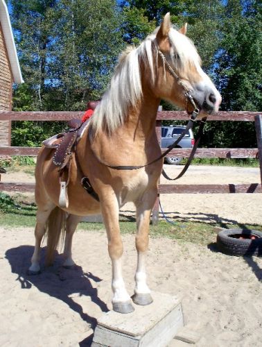 Sunshine qui est trop belle <3