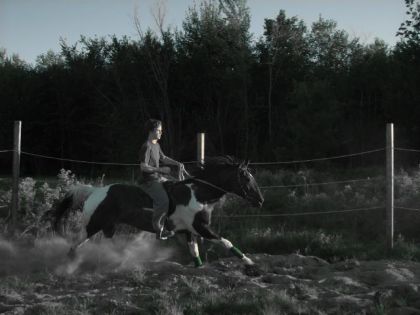 Moi et Domino toujours en anglaise 