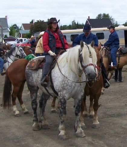 dianne et un gros percheron bleu!!! au festival de st-gabriel!!