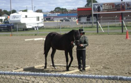 Johane et Monroe dans la classe obstacle trail en main