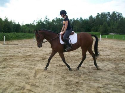 moi & jument a Phil 