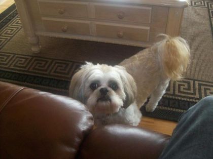 Beethoven lol sa parait po vrmt mais il a la bouche orange :P il...