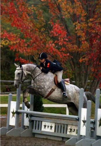 JEQ. Teeeellement belle photo :) Durant mes Junior B. Mon cheval...