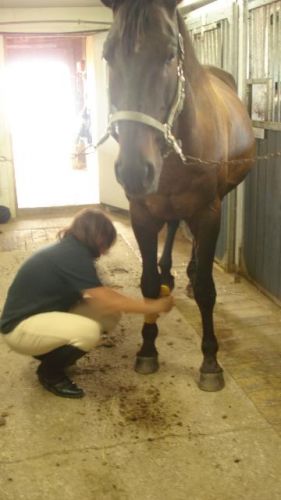faisont les pieds du beau manatan