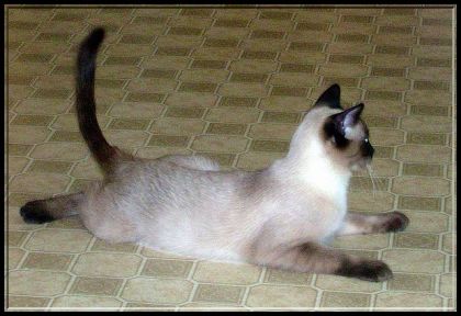 Mon Ti-Mi :)