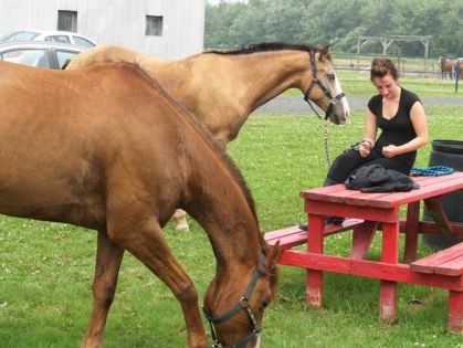 je garde les chevaux pendant que monsieur jean-francois longe...