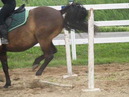 Une barre tombée lors d'un saut d'obstacle