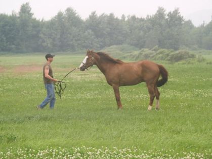 cest trop beau ca...jean francois avec le cheval de ma mère!!!