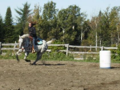 allé retour