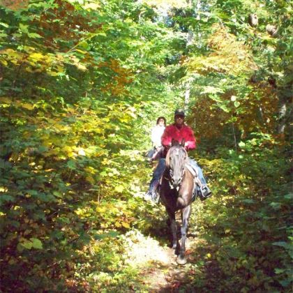 les couleurs d'automne