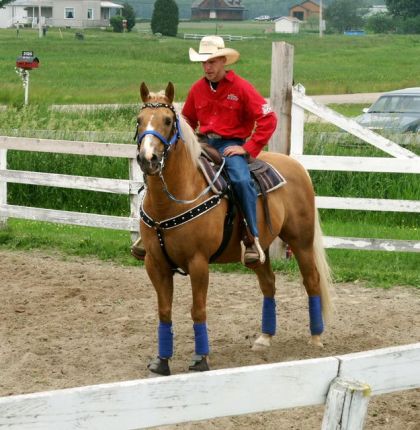 Un cowboy et son cheval