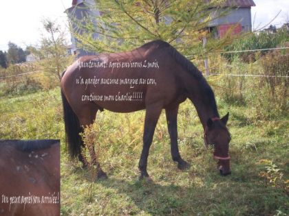 Son progr&egrave;s!! il en reste &agrave; faire mes devien de plus en plus...