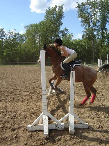 Spotnik et moi ...le fresh poney