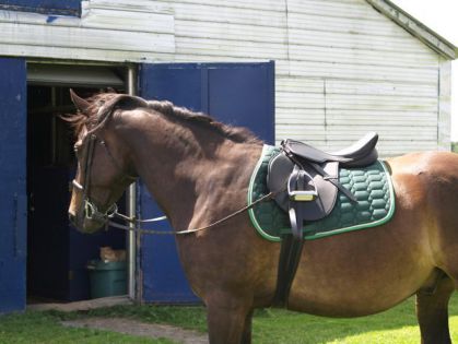 mon gros beuhbé!!!  :)