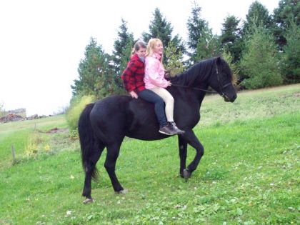 Moi et ma copiiiineeee ! Qui monte Heaven sa jument en doublee...