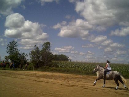 Josée et son superbe percheron