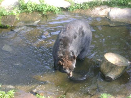 Et un petit tour dans l'eau!