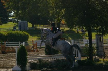 LOL. Little overjump avec un cheval fou :) Stuart & Moi - Jeux...