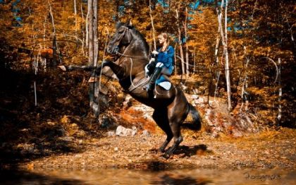 Moi et mon cheval dans une compétition medieval et on a toute...
